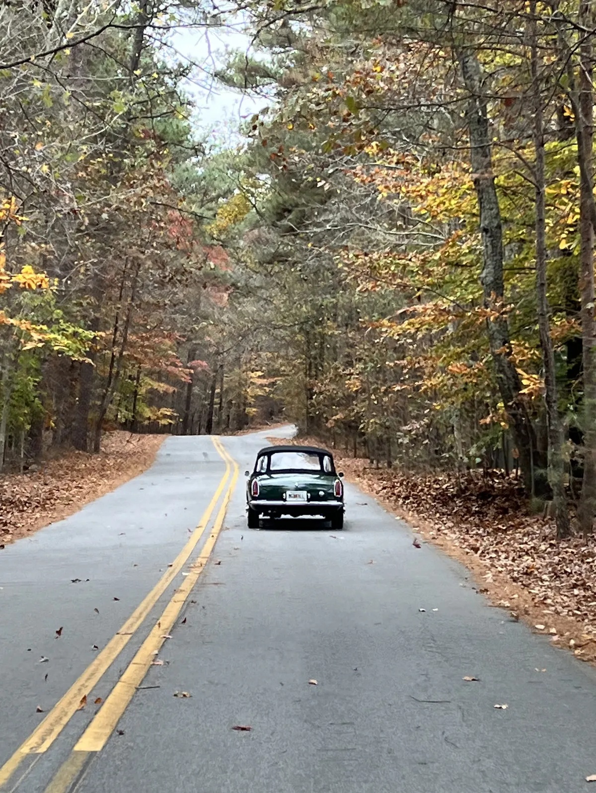 Mg-B-1965-Dark-British-Racing-Green-Black-10