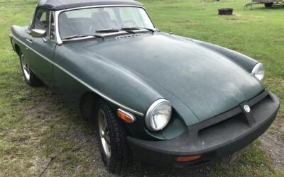 Mg B 1975
