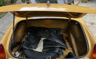 Mg-B-1976-Gold-Tan-3
