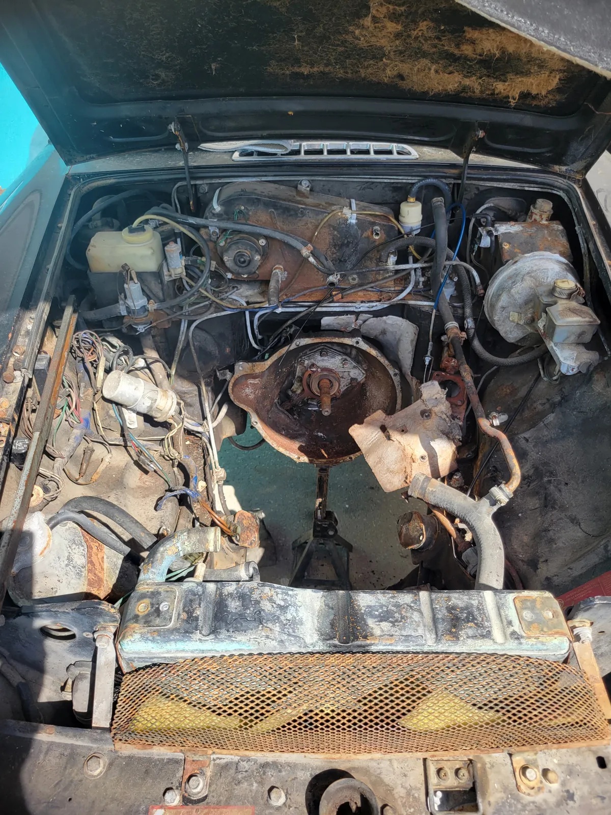 Mg-B-1979-Black-Black-11