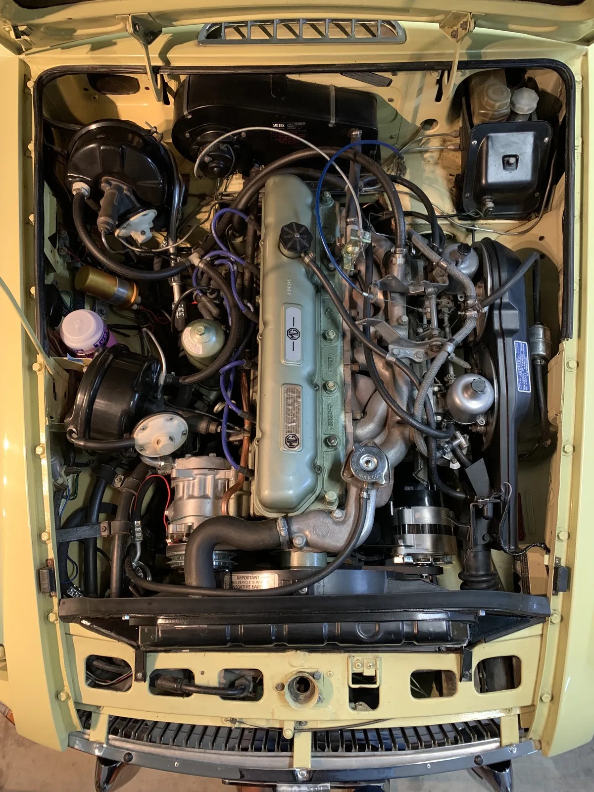 Mg-Cgt-1969-Pale-Primrose-Black-12