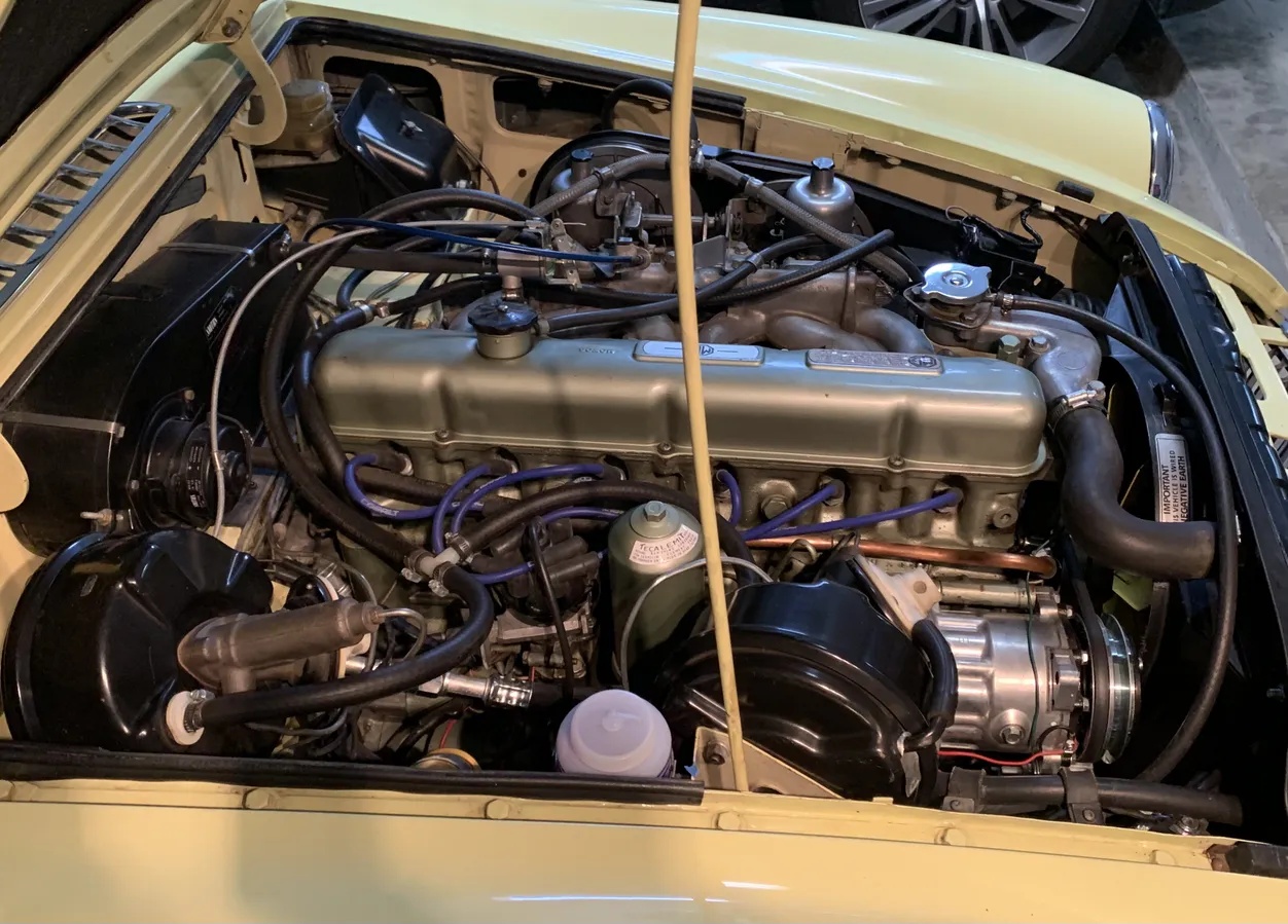 Mg-Cgt-1969-Pale-Primrose-Black-13