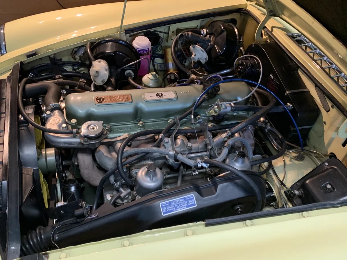 Mg-Cgt-1969-Pale-Primrose-Black-14