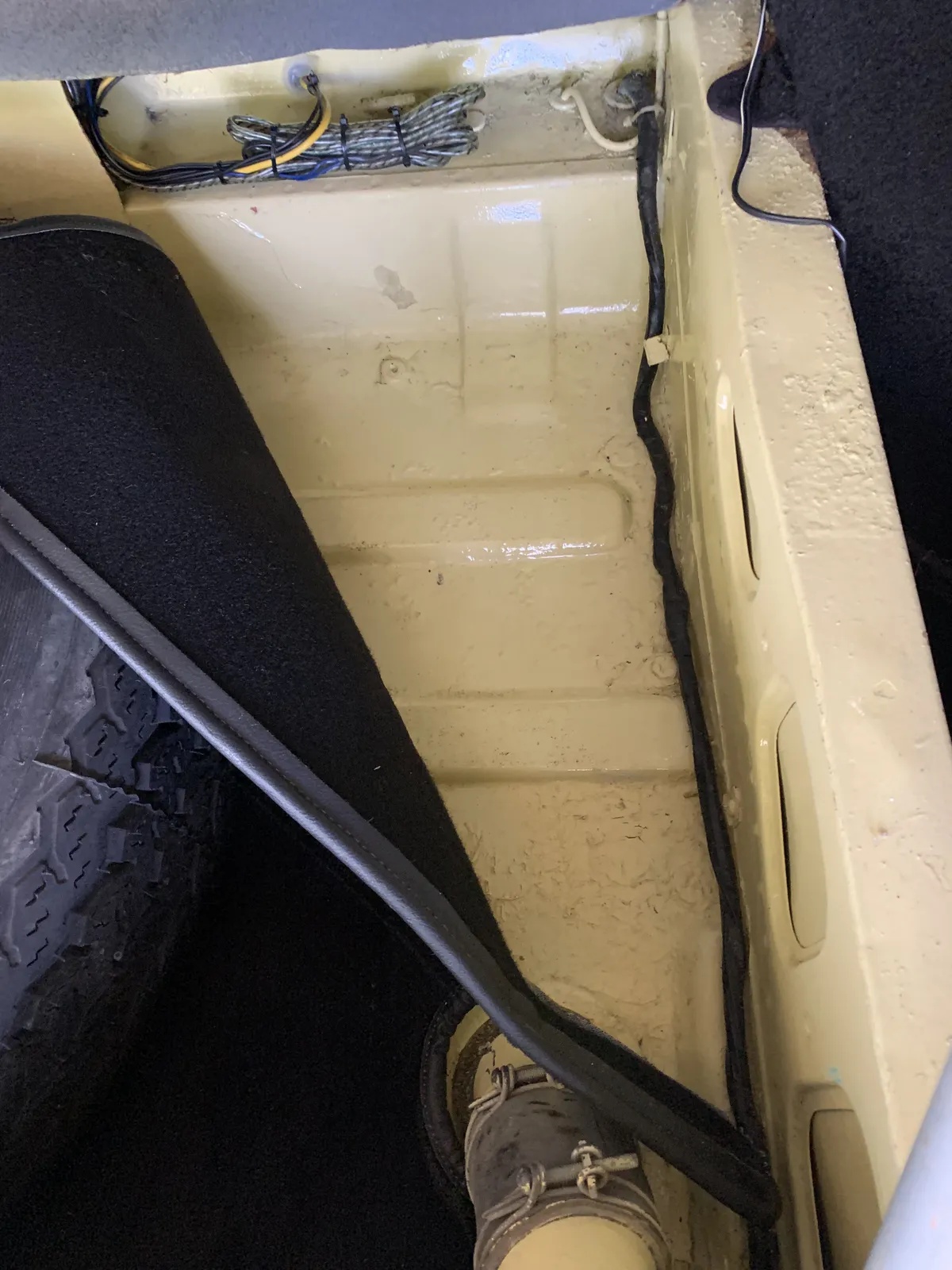 Mg-Cgt-1969-Pale-Primrose-Black-17