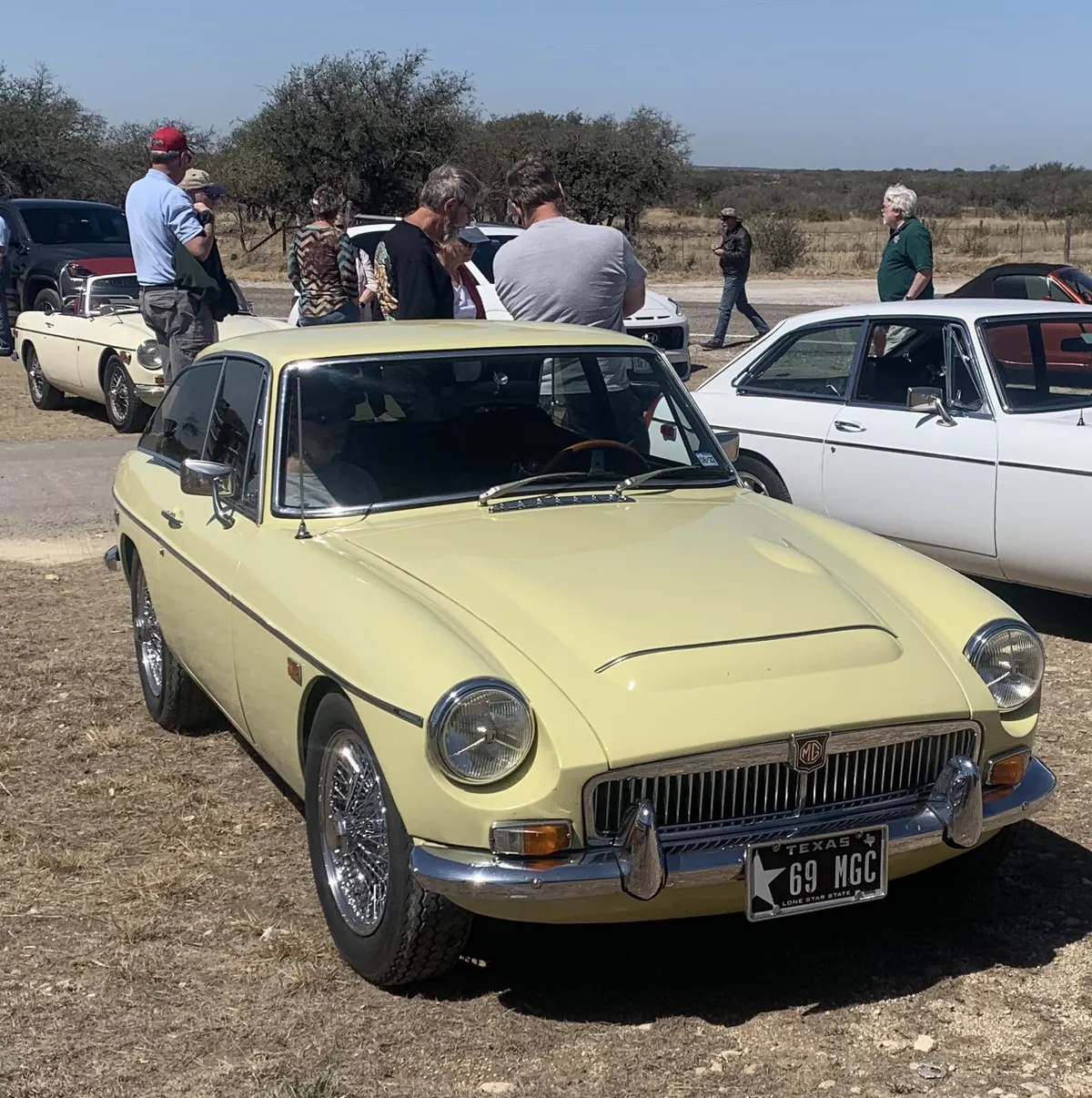 Mg-Cgt-1969-Pale-Primrose-Black-19