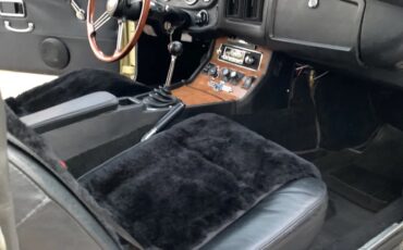 Mg-Cgt-1969-Pale-Primrose-Black-6