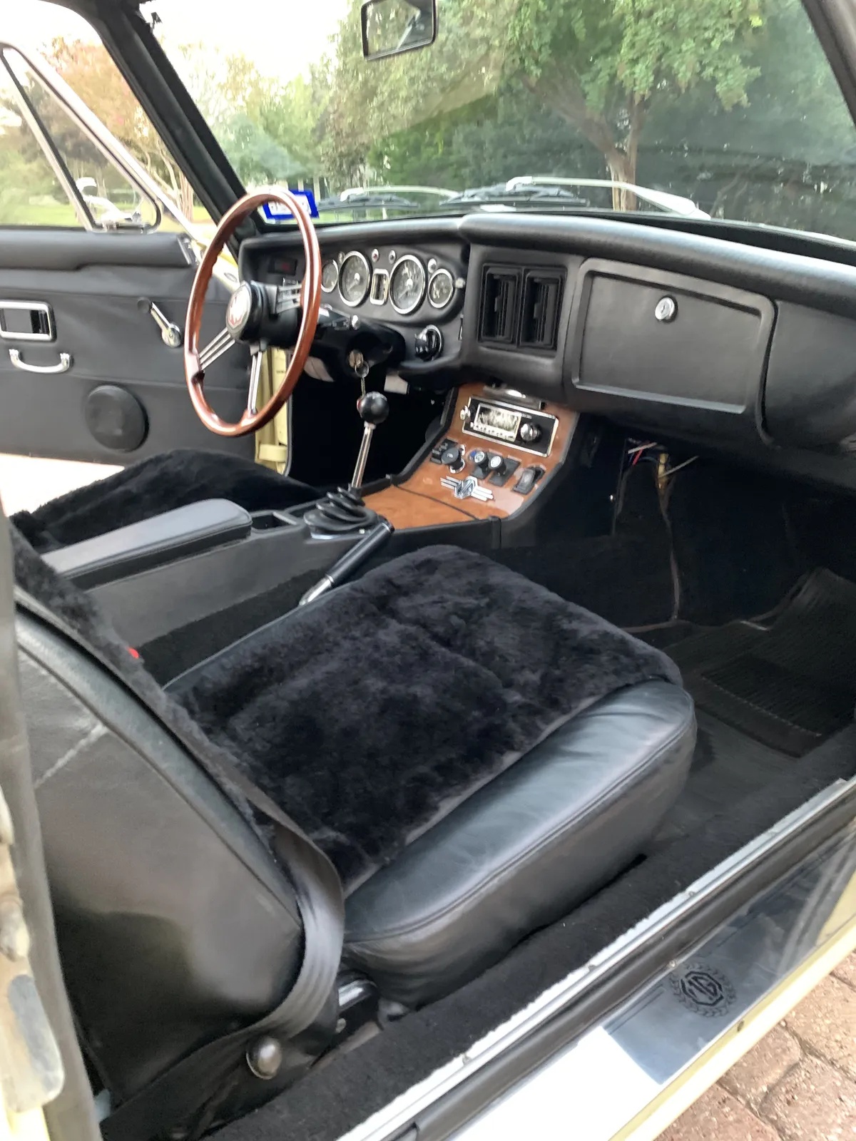 Mg-Cgt-1969-Pale-Primrose-Black-6