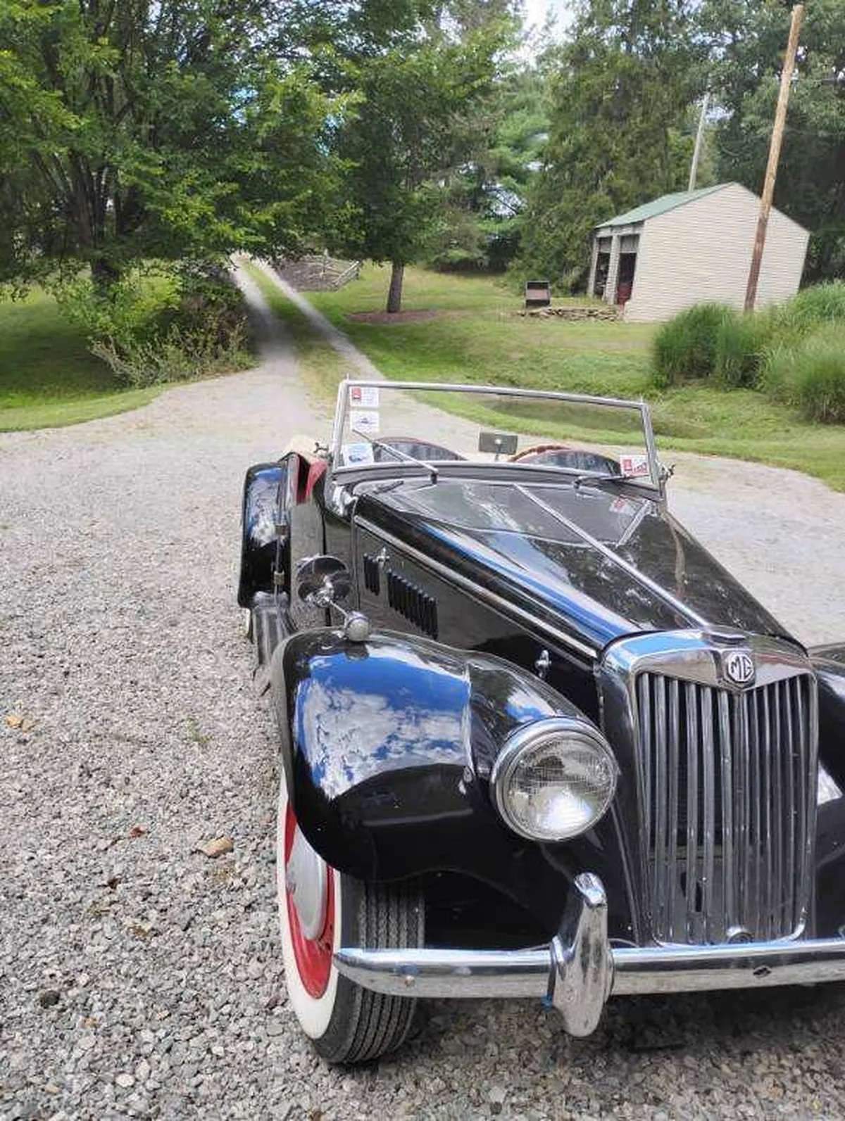 Mg-F-tf-1954-Black-Red-1