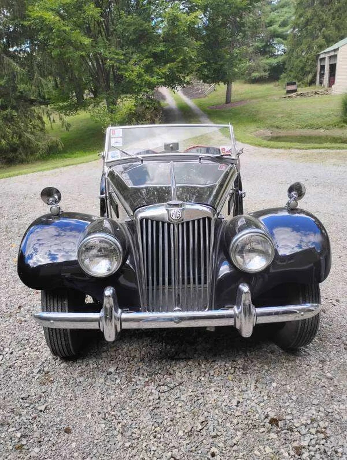 Mg-F-tf-1954-Black-Red-2