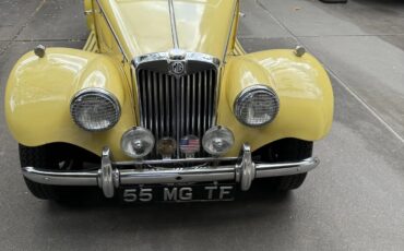 Mg-F-tf-1954-Primrose-Red-1