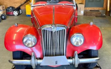 Mg-F-tf-1954-Red-Black-3