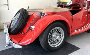 Mg-F-tf-1955-Red-Red-10