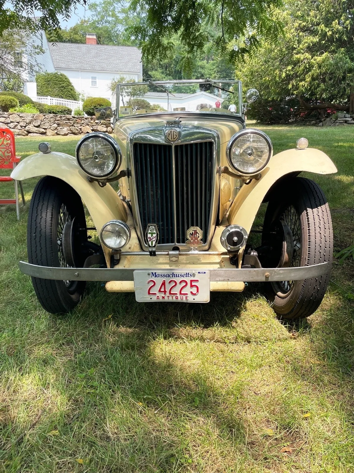 Mg-T-type-1948-Cream-Green-10