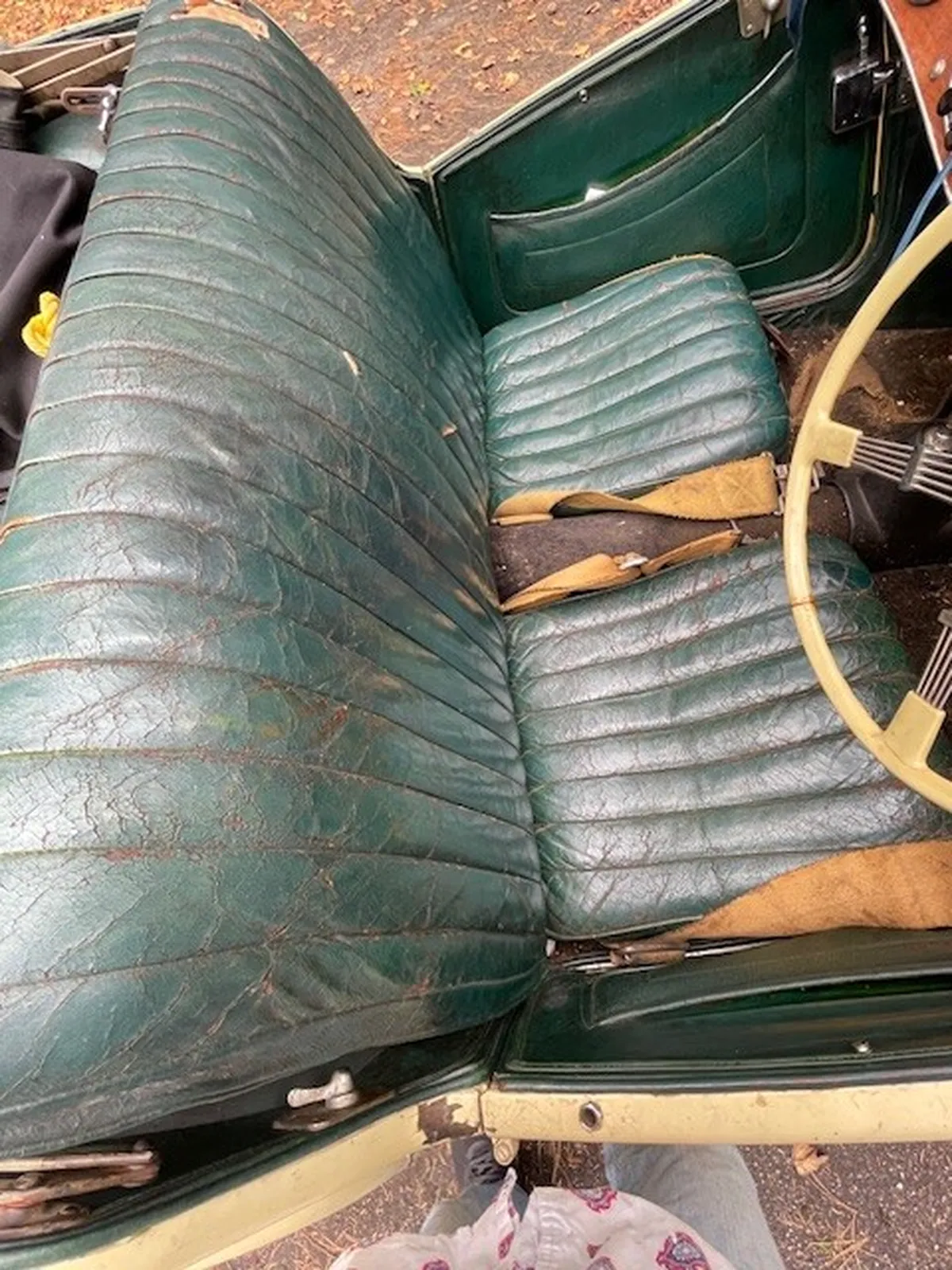Mg-T-type-1948-Cream-Green-3