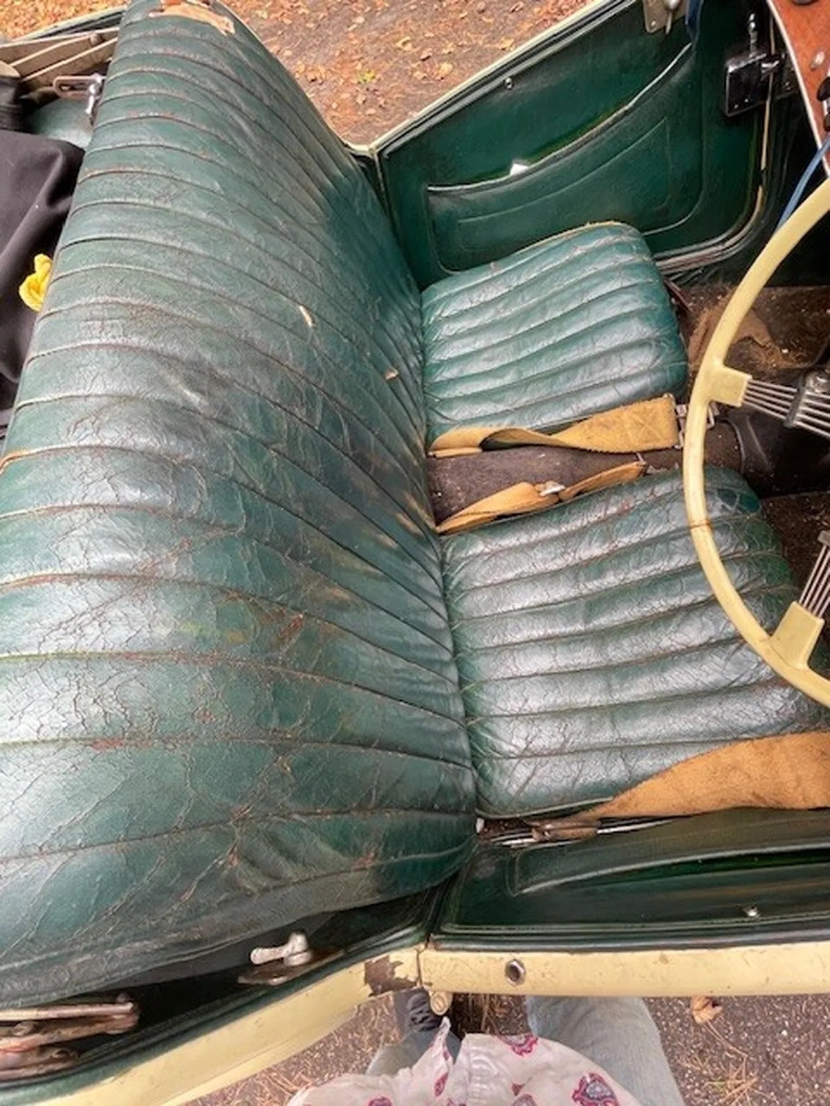 Mg-T-type-1948-Cream-Green-5