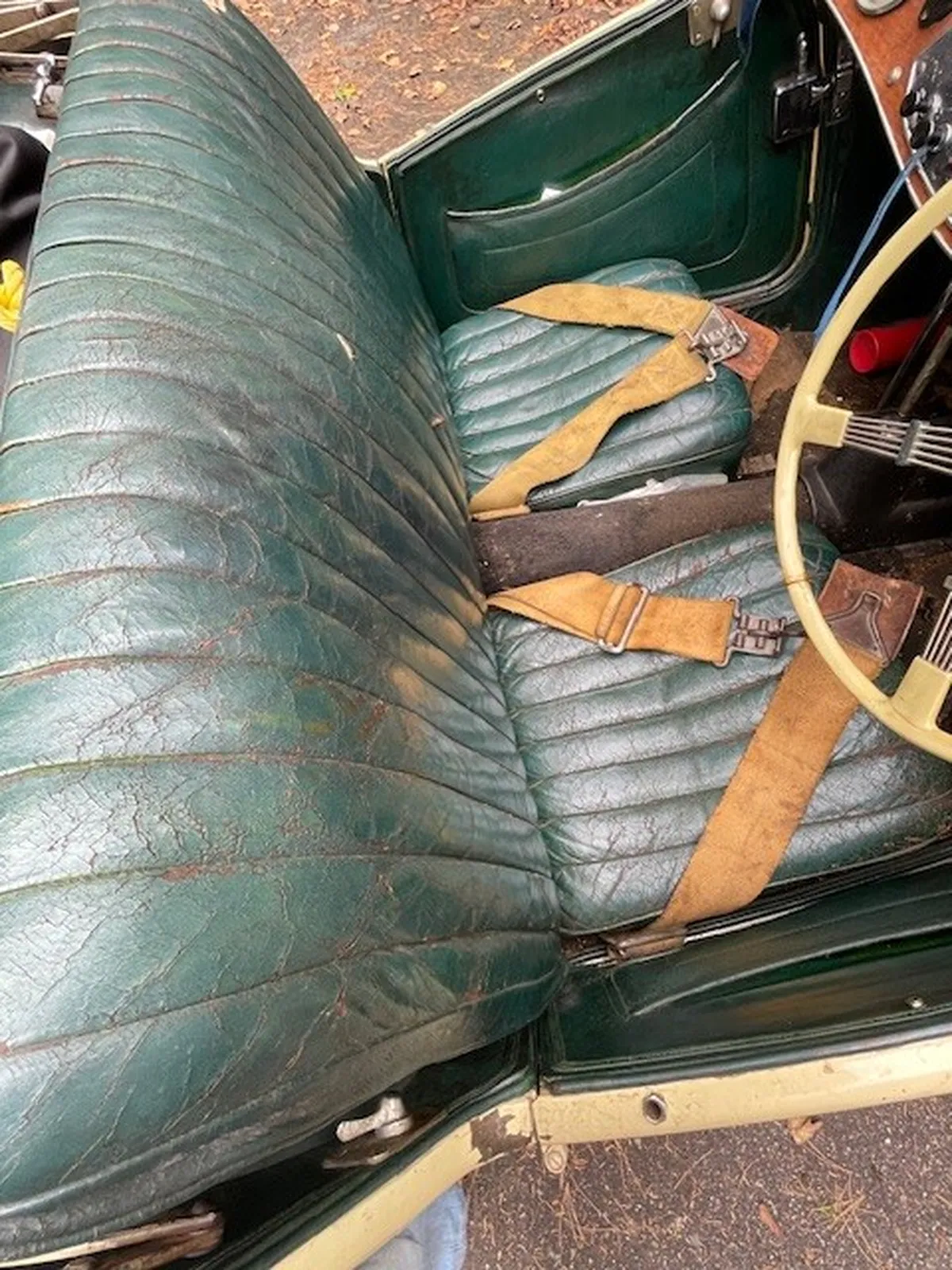Mg-T-type-1948-Cream-Green-8
