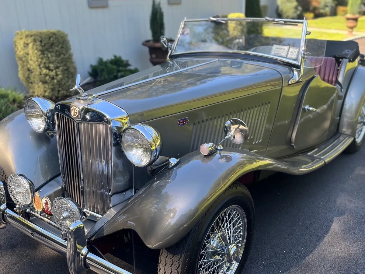 Mg-T-type-1953-Silver-Oxblood-10