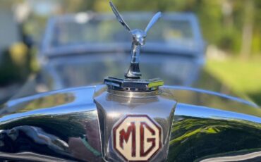 Mg-T-type-1953-Silver-Oxblood-12