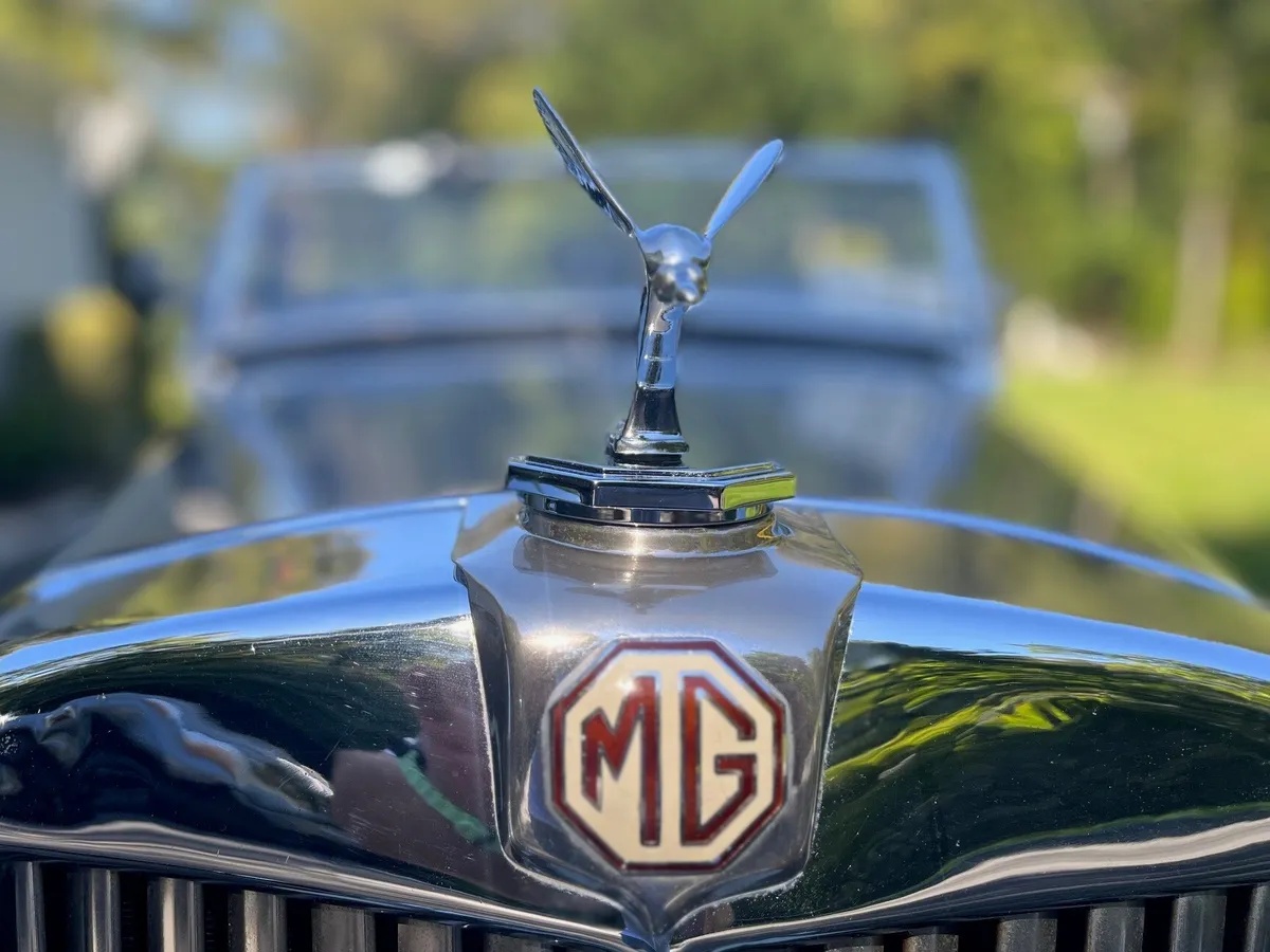 Mg-T-type-1953-Silver-Oxblood-12