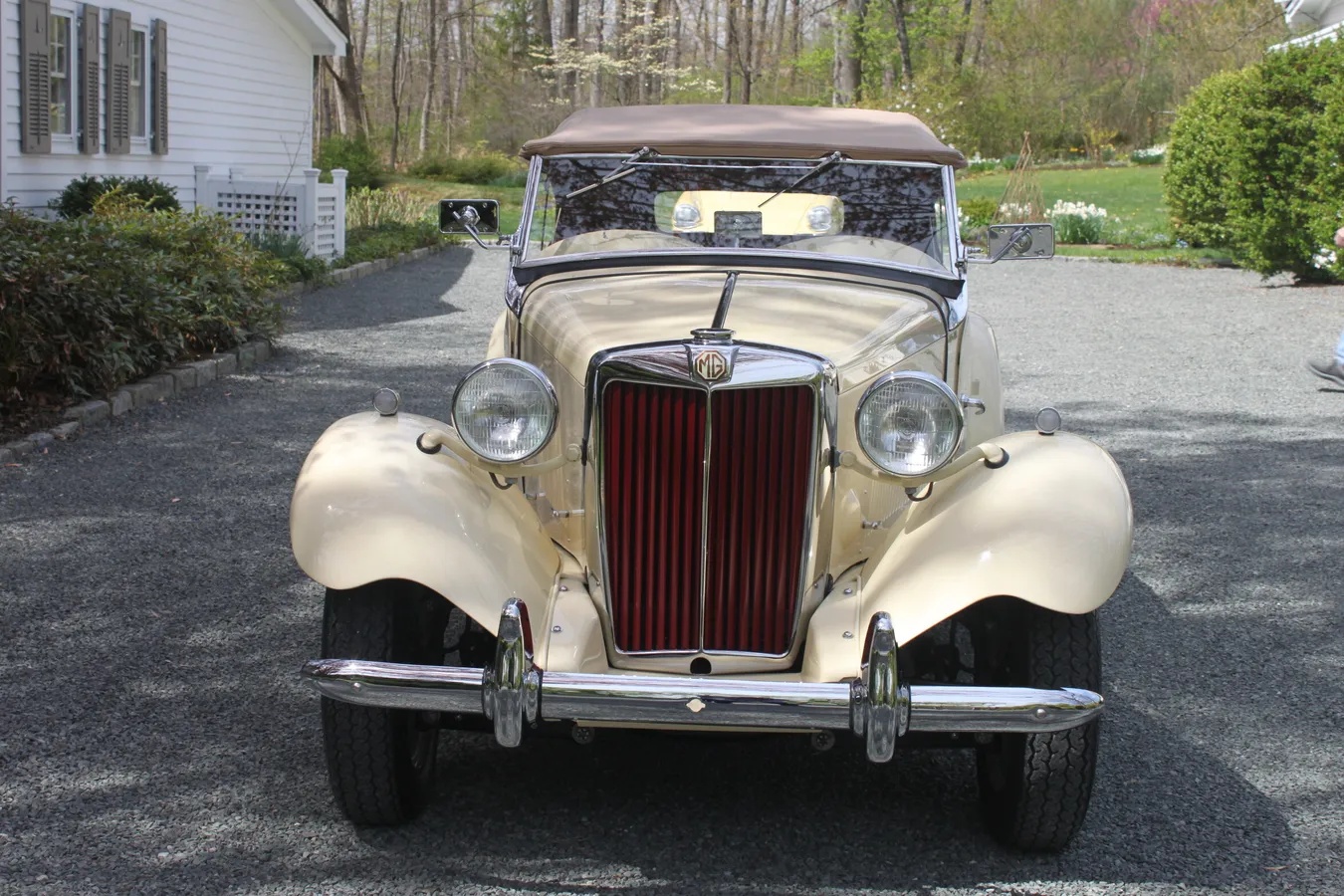 Mg-Td-1950-1
