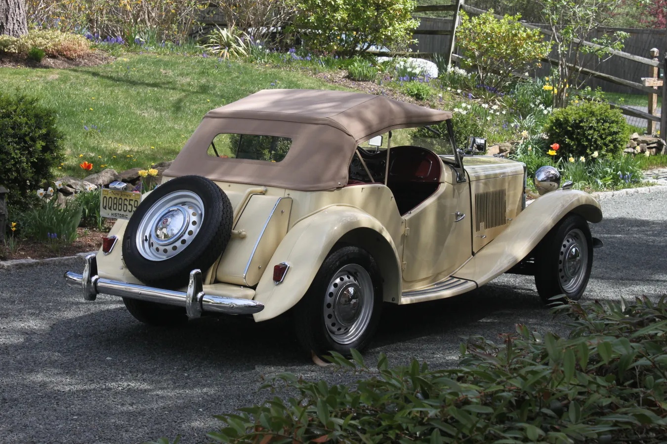 Mg-Td-1950-6