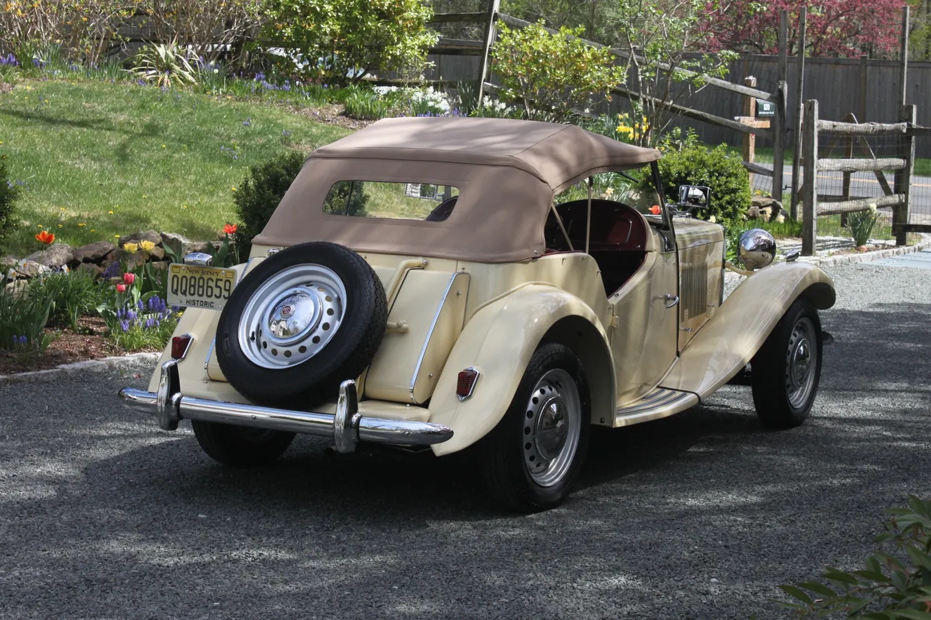 Mg-Td-1950-7