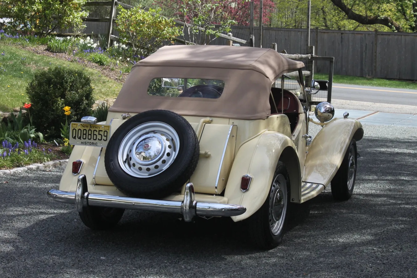 Mg-Td-1950-8