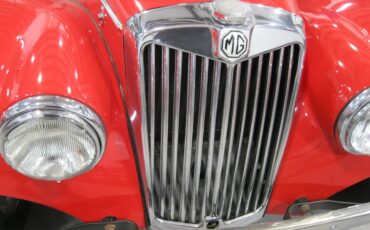 Mg-Tf-1954-Red-Black-17