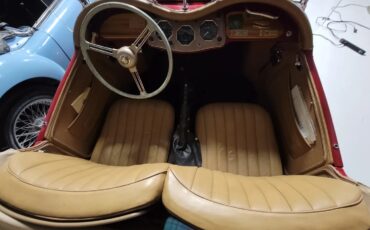 Mg-Tf-1955-Red-Tan-2