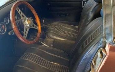 Mg-midget-1974-brown-13