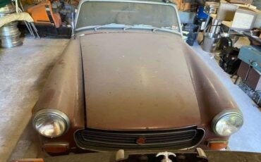 Mg-midget-1974-brown-6