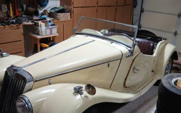 Mg-tf-1954-yellow-1