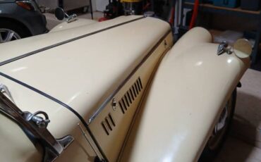 Mg-tf-1954-yellow-6