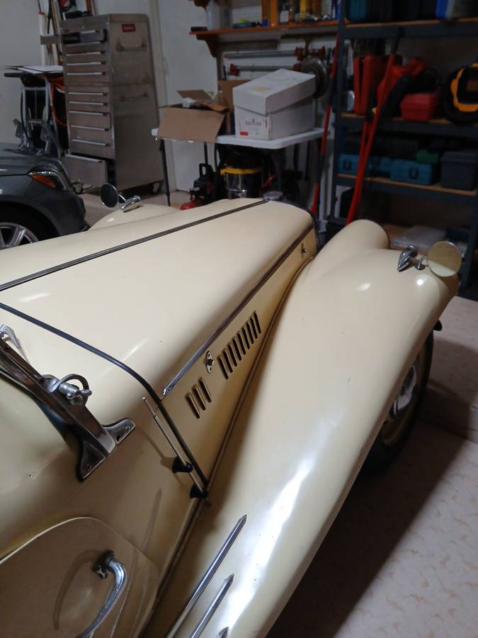 Mg-tf-1954-yellow-6