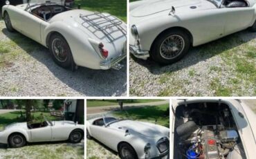 Mga-1960-white-1