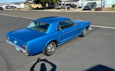 Mustang-1966-5