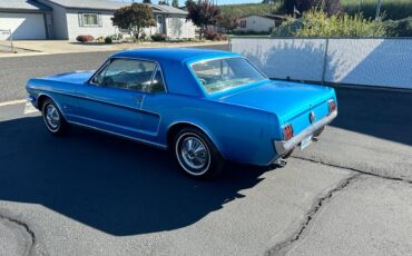 Mustang-1966-7