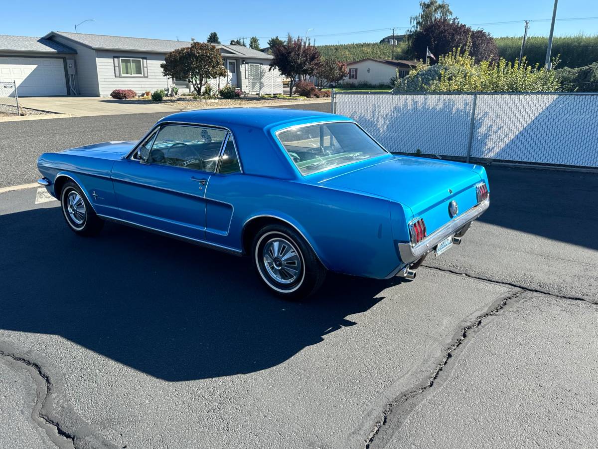 Mustang-1966-7