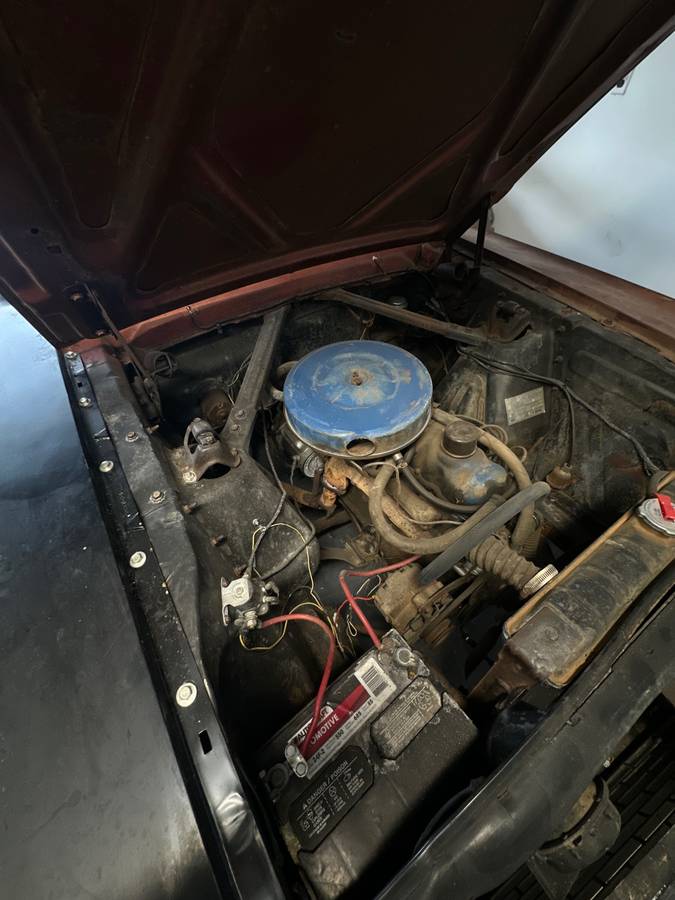 Mustang-coupe-1966-8