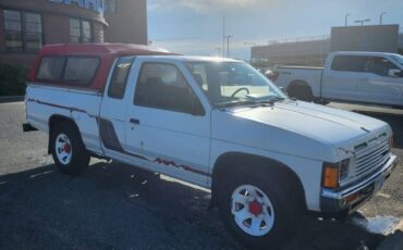 Nissan-d21-hardbody-1989-white-1