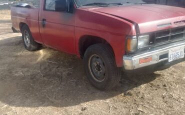 Nissan-hardbody-1987-26