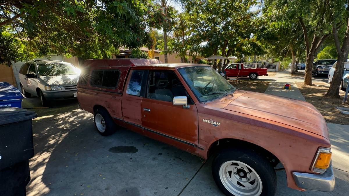 Nissan-hardbody-pickup-1984-brown-5