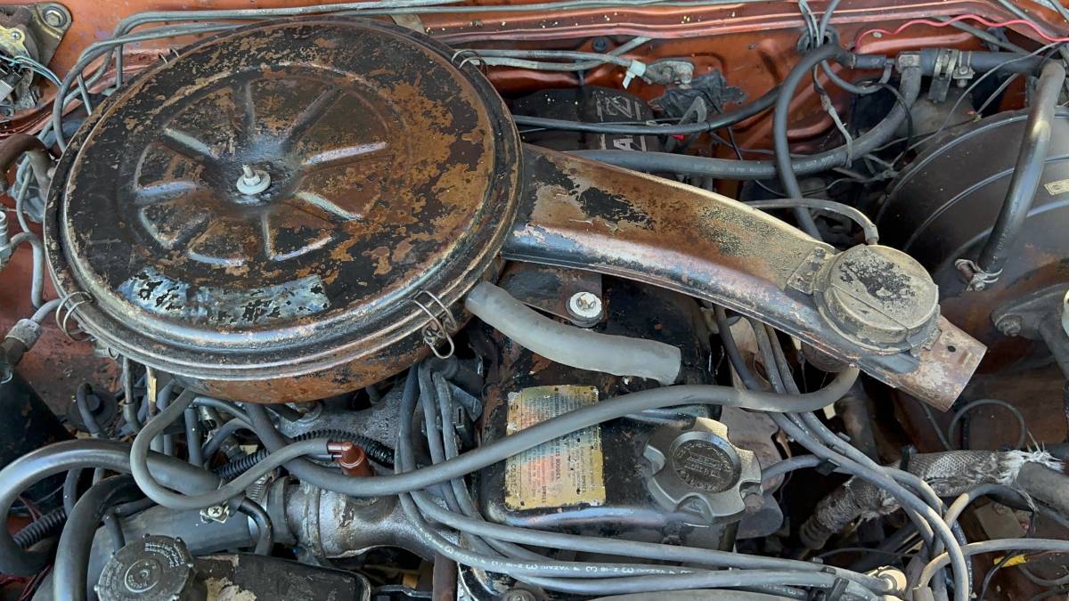 Nissan-hardbody-pickup-1984-brown-9