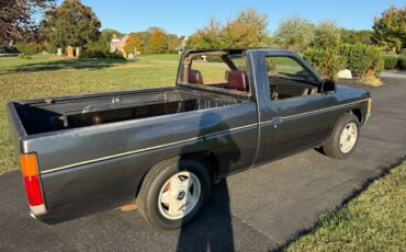 Nissan-hardbody-pickup-1986-silver-1