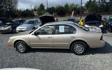 Nissan-maxima-1995-custom-2