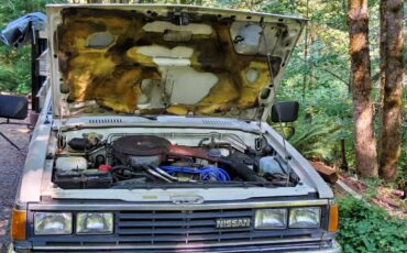 Nissandatsun-720-1984-custom-14