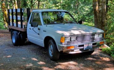 Nissandatsun-720-1984-custom-18
