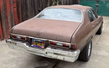 Oldsmobile-1973-brown-3