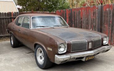 Oldsmobile-1973-brown