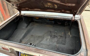 Oldsmobile-1973-brown-5